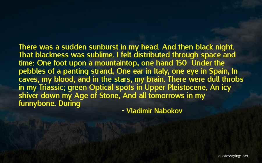 Night Under The Stars Quotes By Vladimir Nabokov