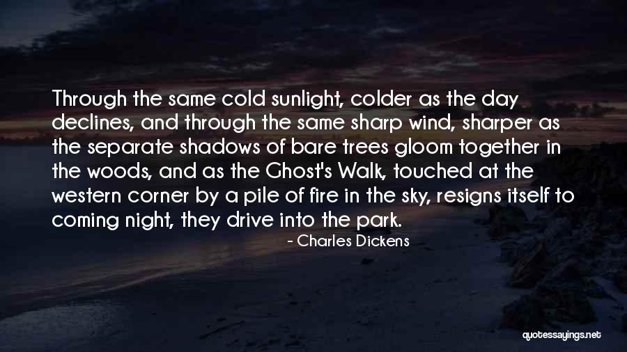 Night Walk Quotes By Charles Dickens