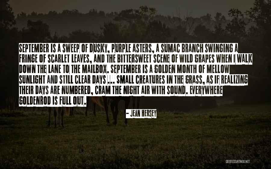 Night Walk Quotes By Jean Hersey