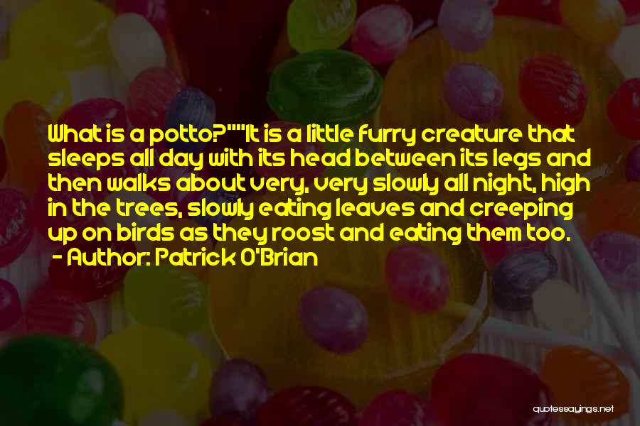 Night Walks Quotes By Patrick O'Brian