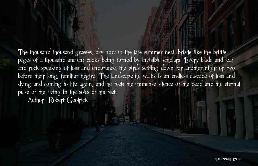Night Walks Quotes By Robert Goolrick