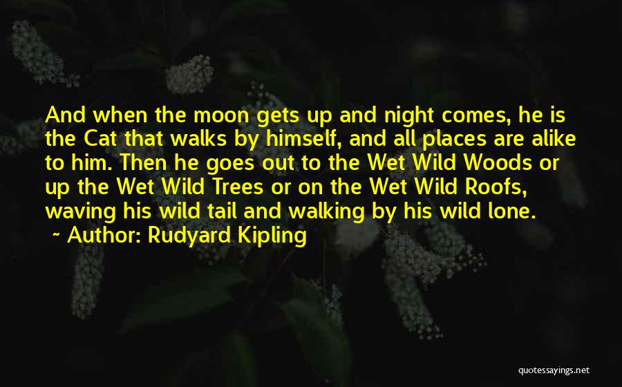 Night Walks Quotes By Rudyard Kipling