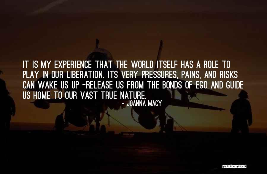Night Weddings Quotes By Joanna Macy Night Weddings Quotes By Joanna Macy