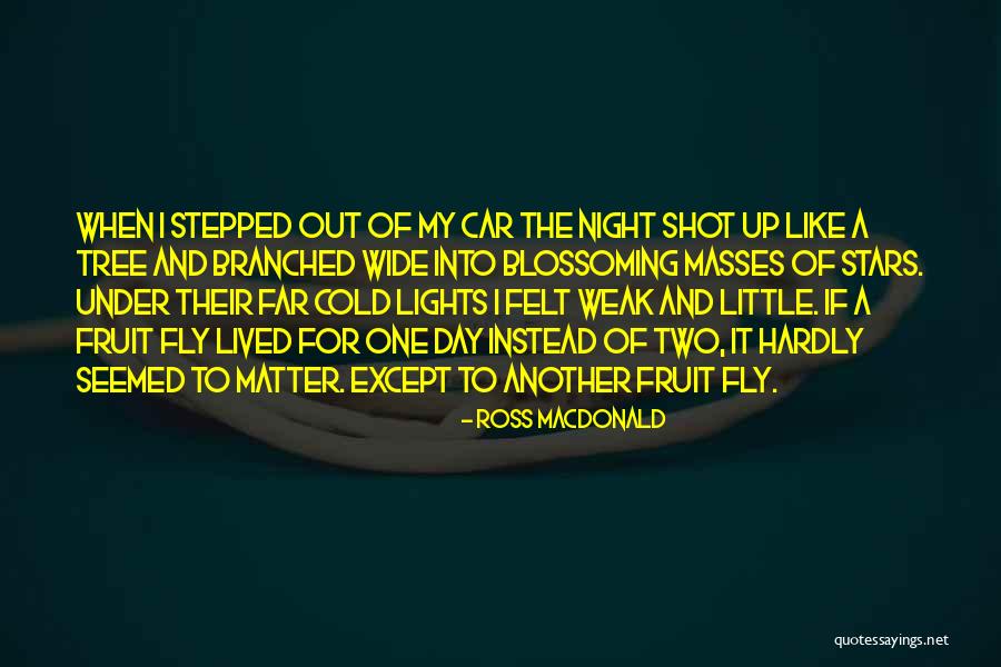 Night When The Lights Quotes By Ross Macdonald Night When The Lights Quotes By Ross Macdonald