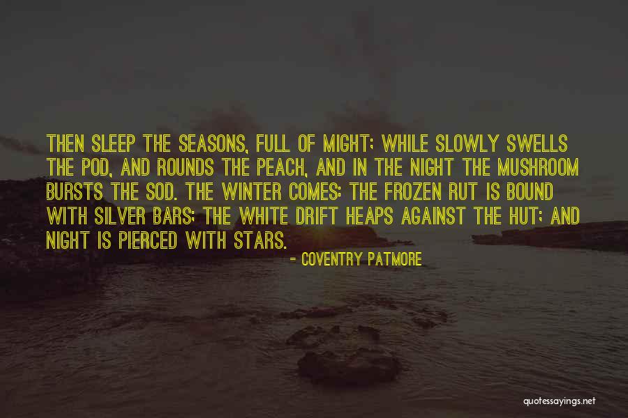 Night With Stars Quotes By Coventry Patmore Night With Stars Quotes By Coventry Patmore
