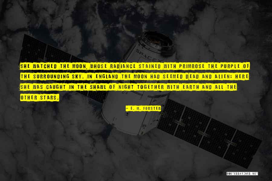 Night With Stars Quotes By E. M. Forster Night With Stars Quotes By E. M. Forster