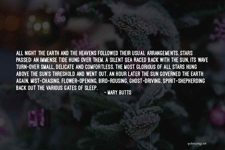 Night With Stars Quotes By Mary Butts Night With Stars Quotes By Mary Butts