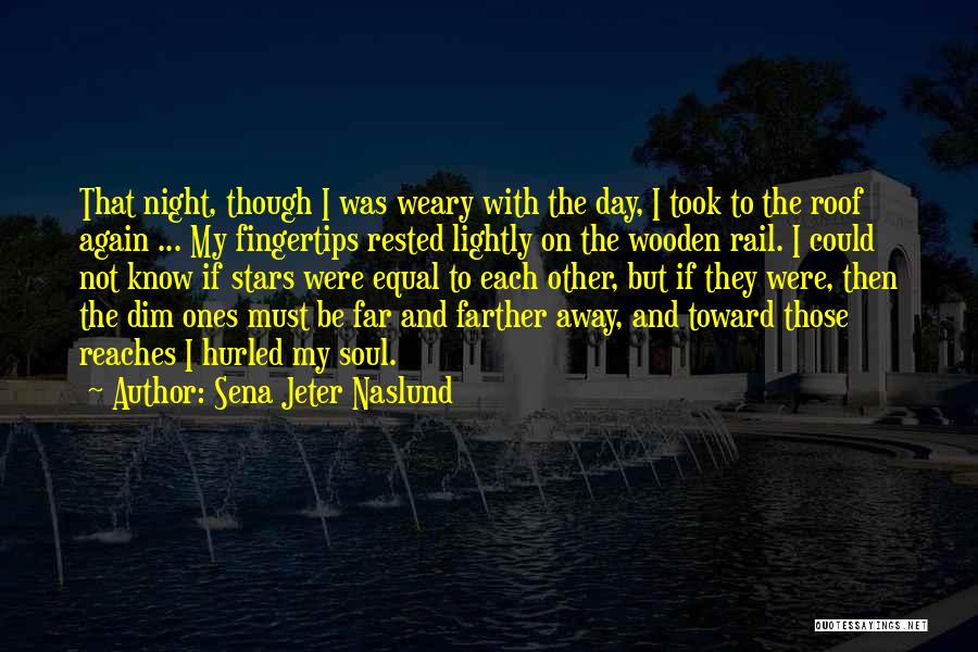 Night With Stars Quotes By Sena Jeter Naslund