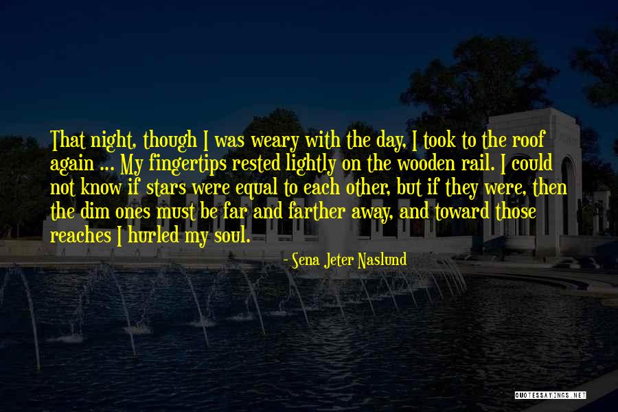 Night With Stars Quotes By Sena Jeter Naslund