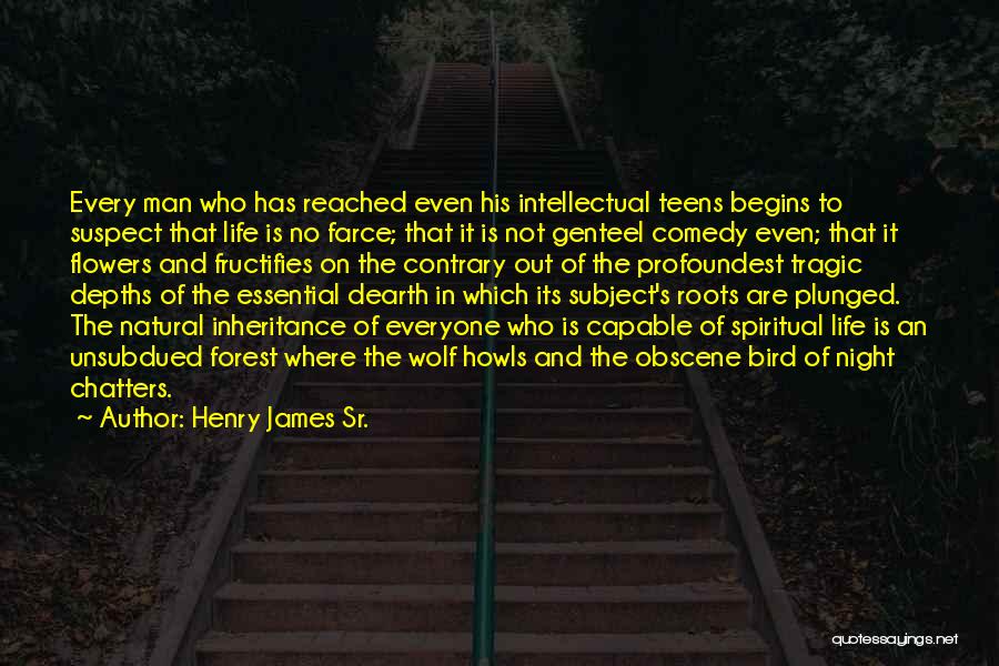 Night Wolf Quotes By Henry James Sr.