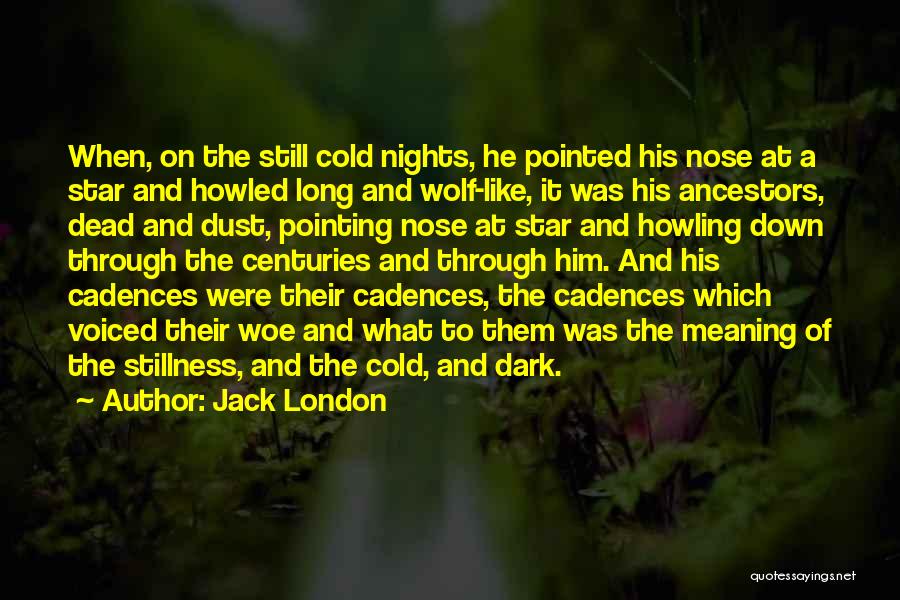 Night Wolf Quotes By Jack London