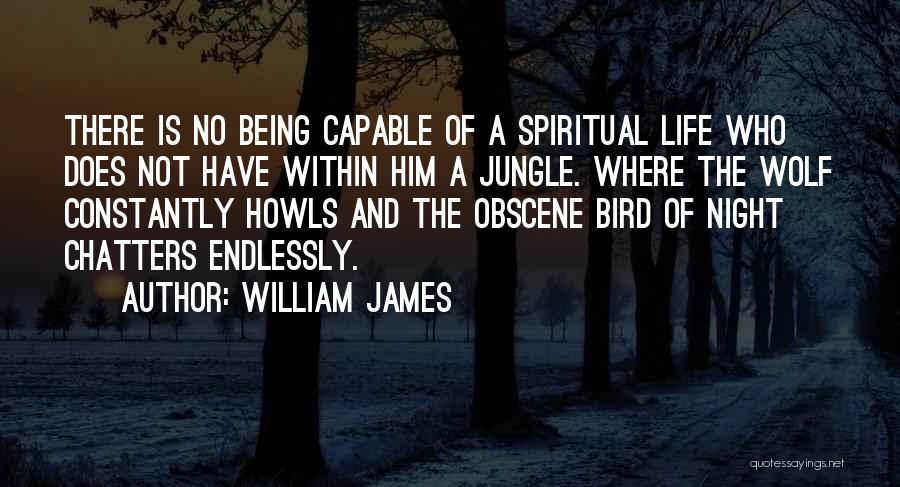 Night Wolf Quotes By William James