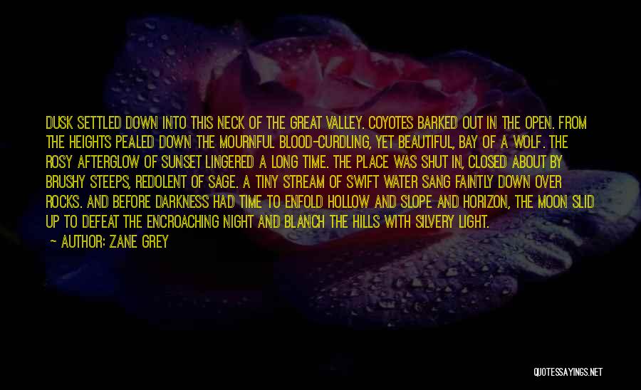 Night Wolf Quotes By Zane Grey