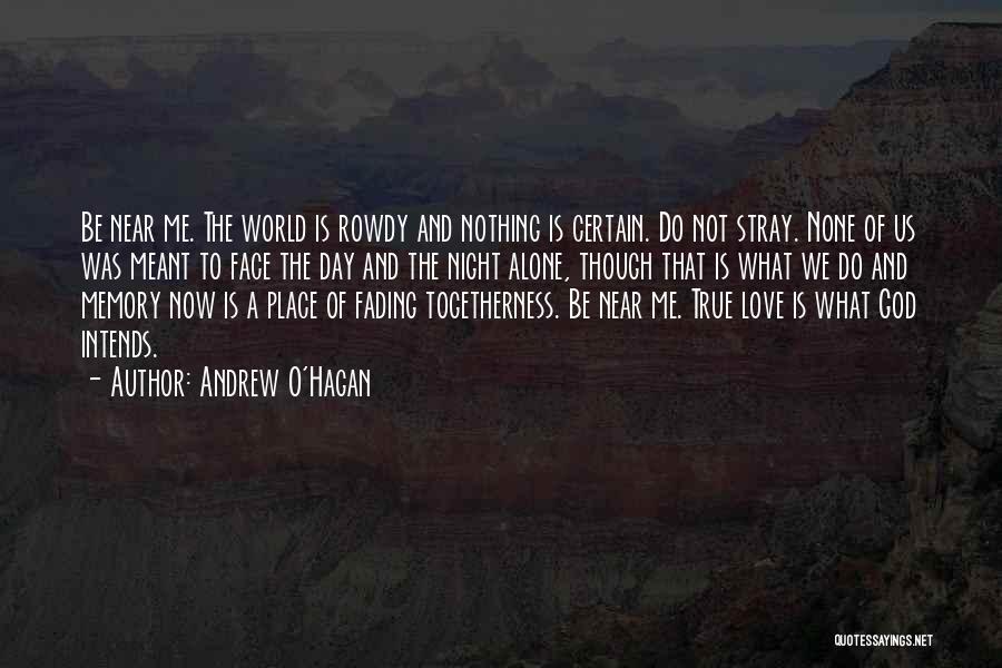 Night World Love Quotes By Andrew O'Hagan