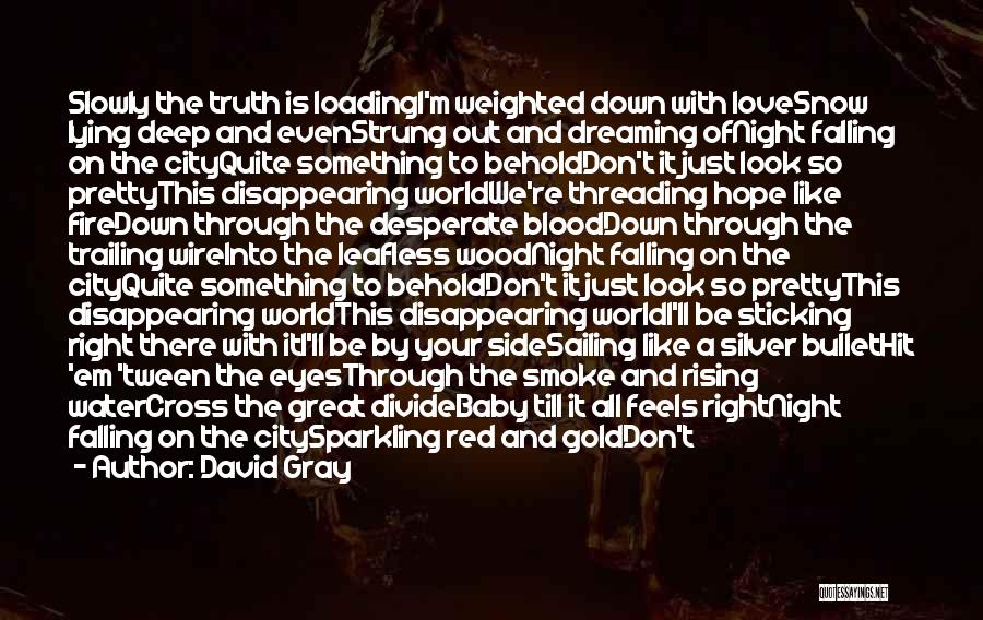 Night World Love Quotes By David Gray