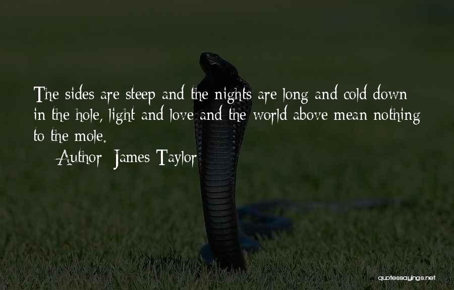 Night World Love Quotes By James Taylor