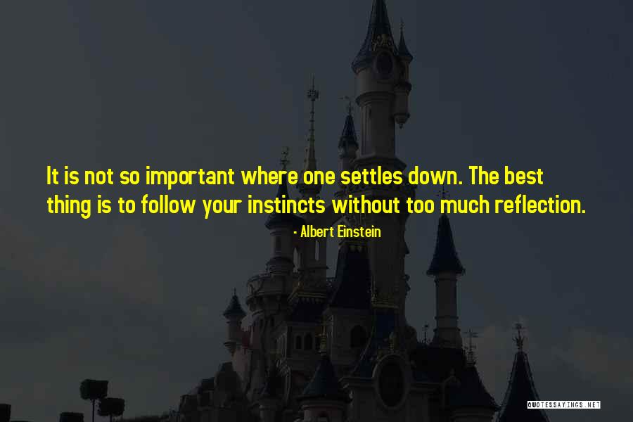 Nighter Gui Quotes By Albert Einstein Nighter Gui Quotes By Albert Einstein