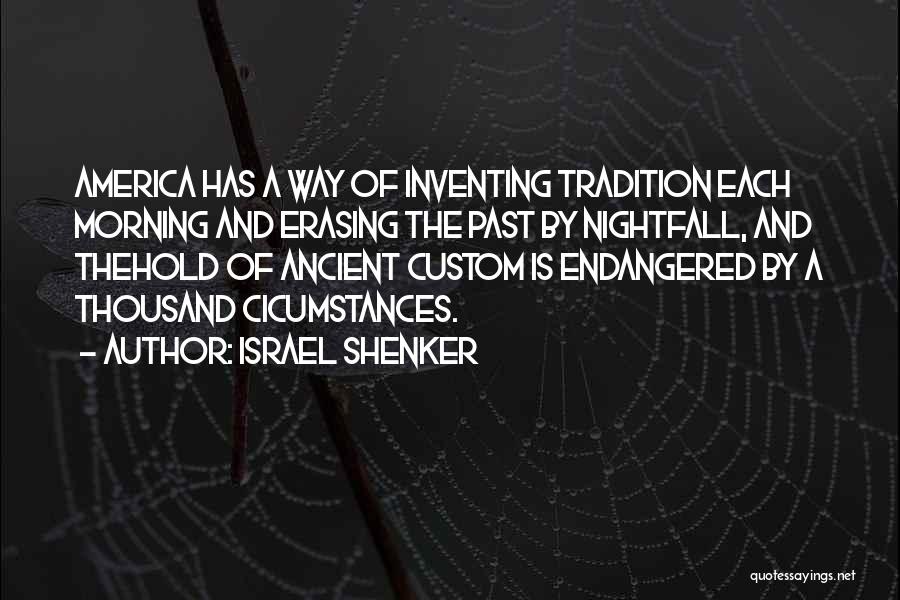 Nightfall Quotes By Israel Shenker