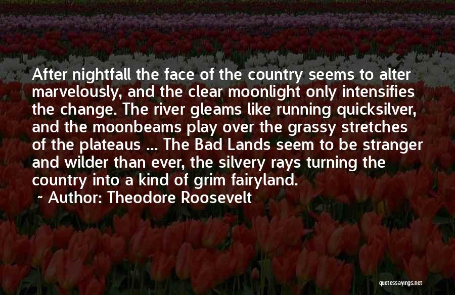 Nightfall Quotes By Theodore Roosevelt