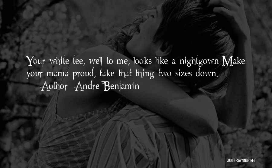 Nightgown Quotes By Andre Benjamin