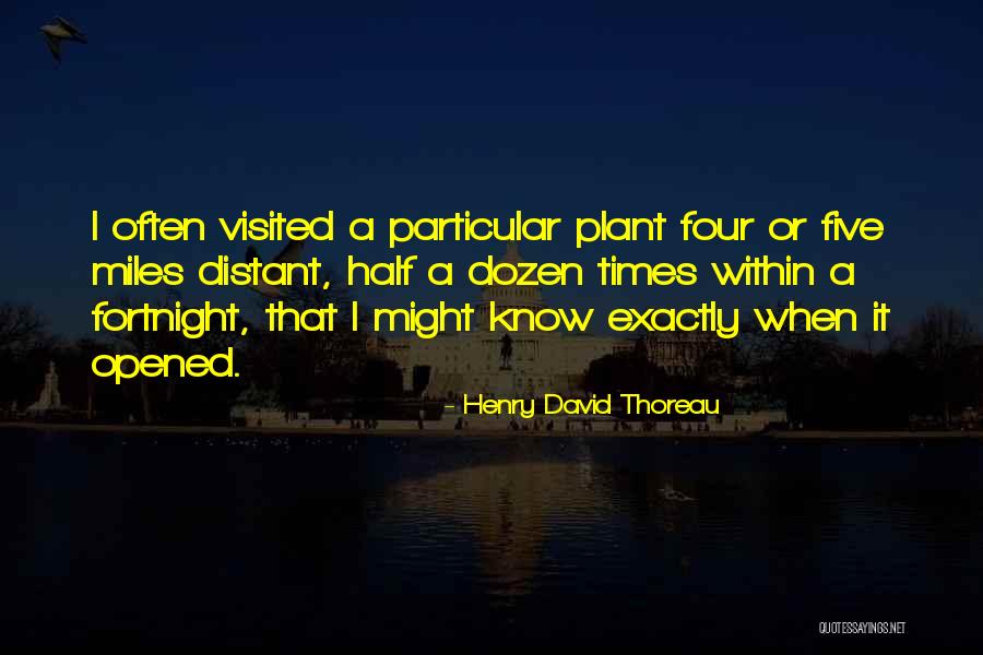 Nightgowns Sleepwear Quotes By Henry David Thoreau Nightgowns Sleepwear Quotes By Henry David Thoreau