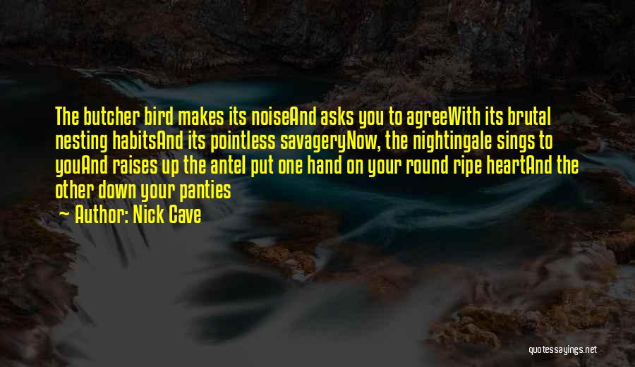 Nightingale Bird Quotes By Nick Cave