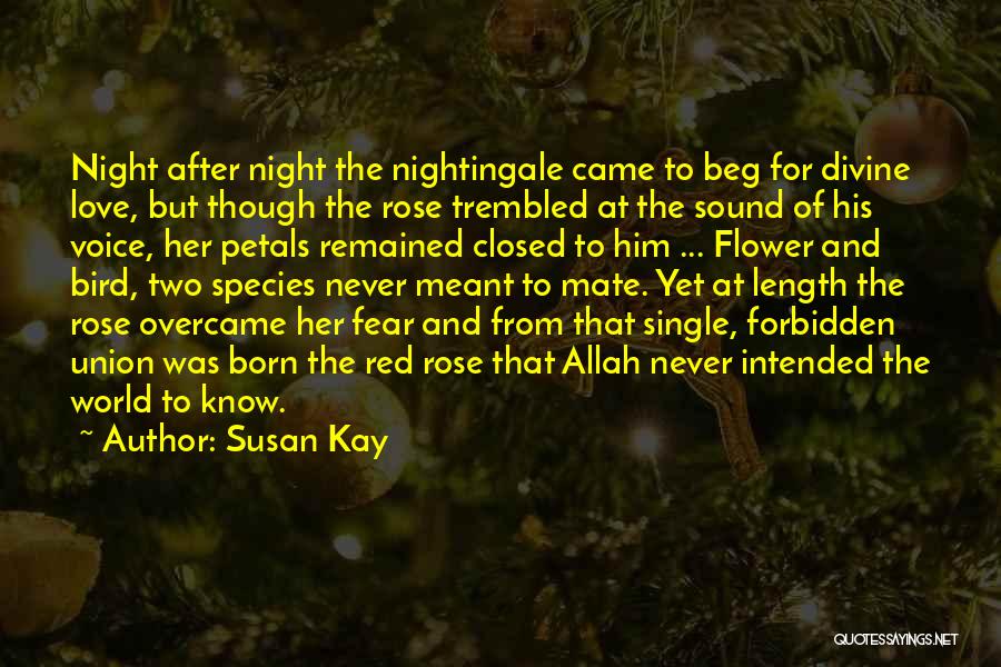 Nightingale Bird Quotes By Susan Kay