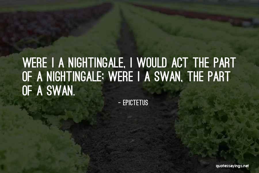 Nightingale Quotes By Epictetus Nightingale Quotes By Epictetus