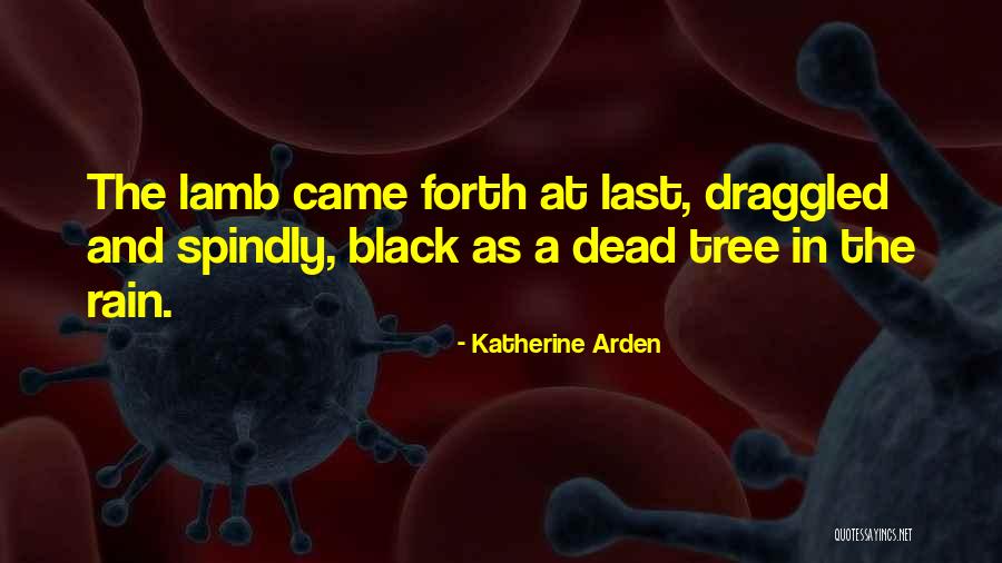 Nightingale Quotes By Katherine Arden Nightingale Quotes By Katherine Arden