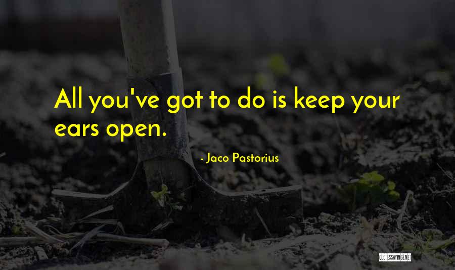 Nightlife In Orlando Quotes By Jaco Pastorius Nightlife In Orlando Quotes By Jaco Pastorius