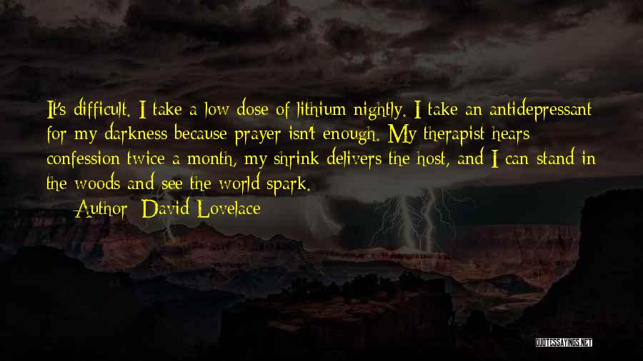 Nightly Prayer Quotes By David Lovelace