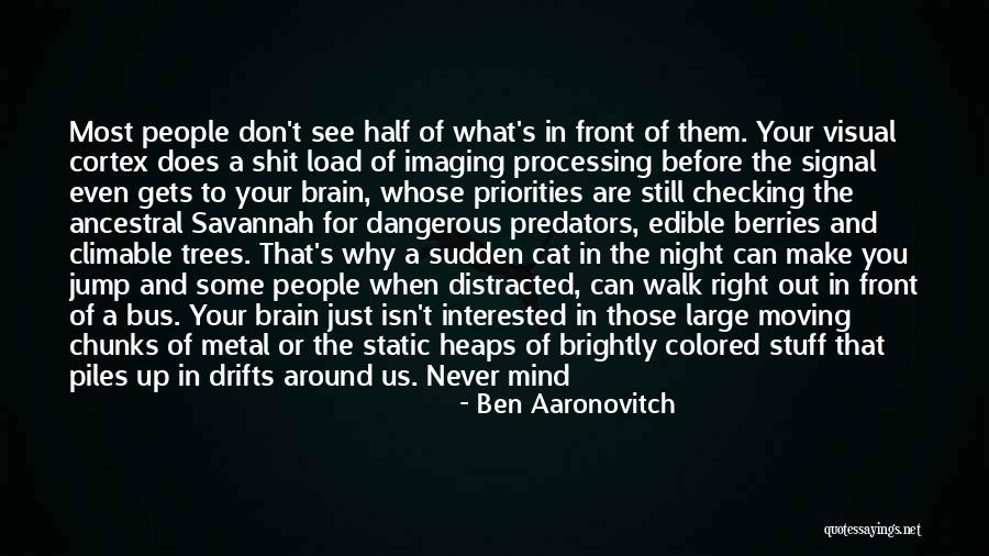 Night's Watch Quotes By Ben Aaronovitch