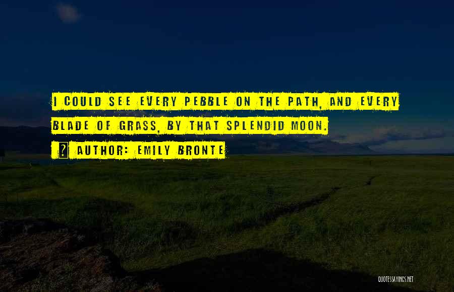 Nighttime Moon Quotes By Emily Bronte