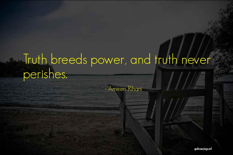 Nihat Sirdar Quotes By Ameen Rihani Nihat Sirdar Quotes By Ameen Rihani