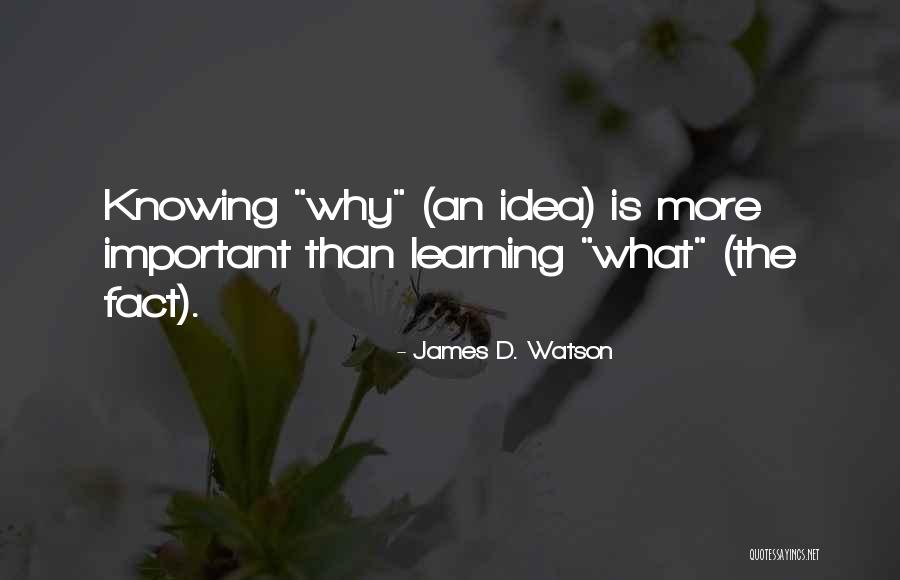 Nihilum Kungen Quotes By James D. Watson Nihilum Kungen Quotes By James D. Watson