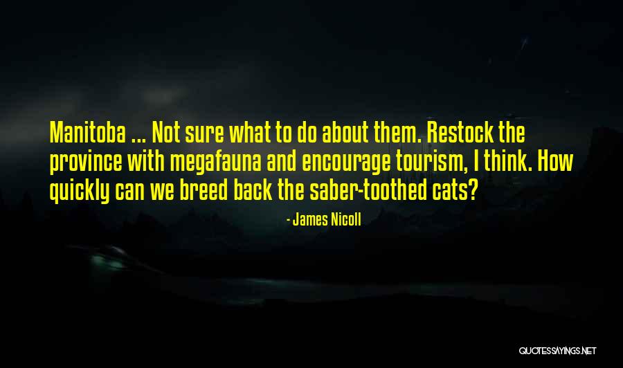 Niiight Quotes By James Nicoll Niiight Quotes By James Nicoll