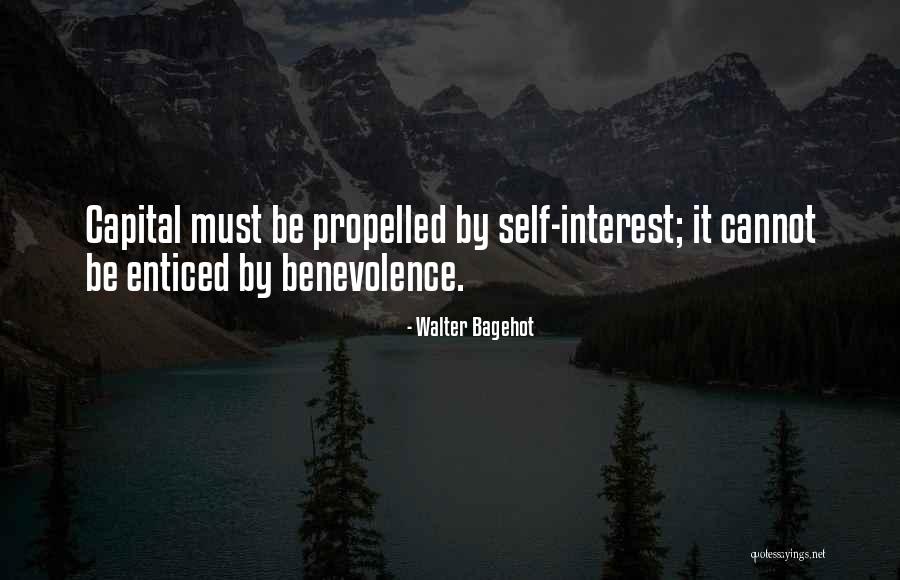 Niiiiice Quotes By Walter Bagehot Niiiiice Quotes By Walter Bagehot