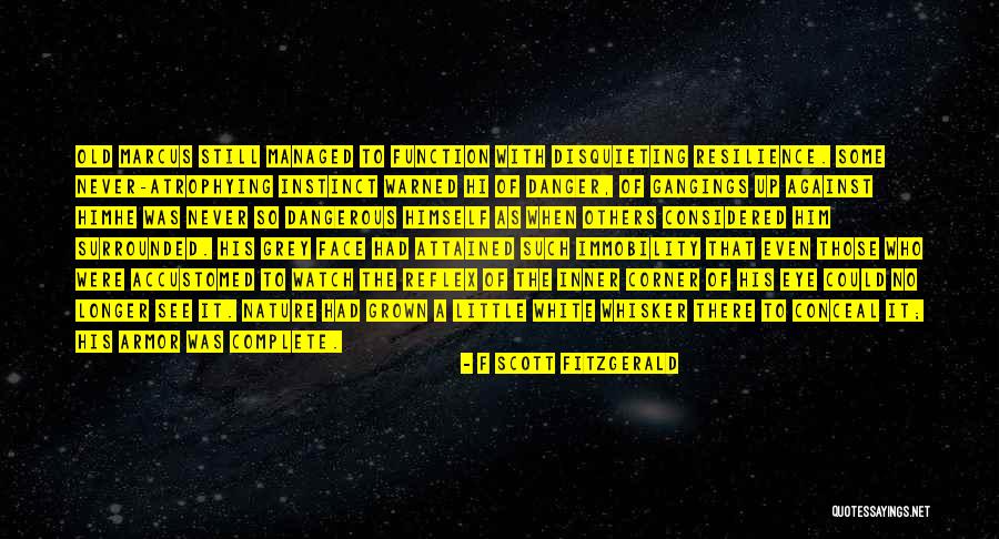 Niijima Joe Quotes By F Scott Fitzgerald Niijima Joe Quotes By F Scott Fitzgerald