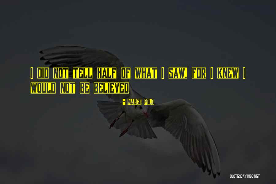 Niikura Kengo Quotes By Marco Polo Niikura Kengo Quotes By Marco Polo