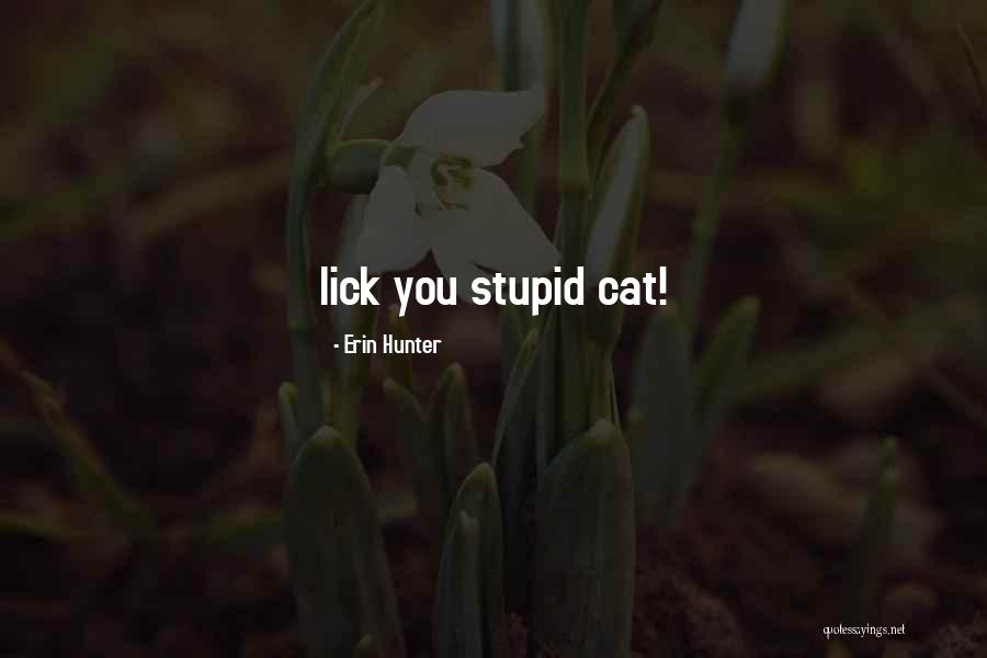 Niin Number Quotes By Erin Hunter Niin Number Quotes By Erin Hunter