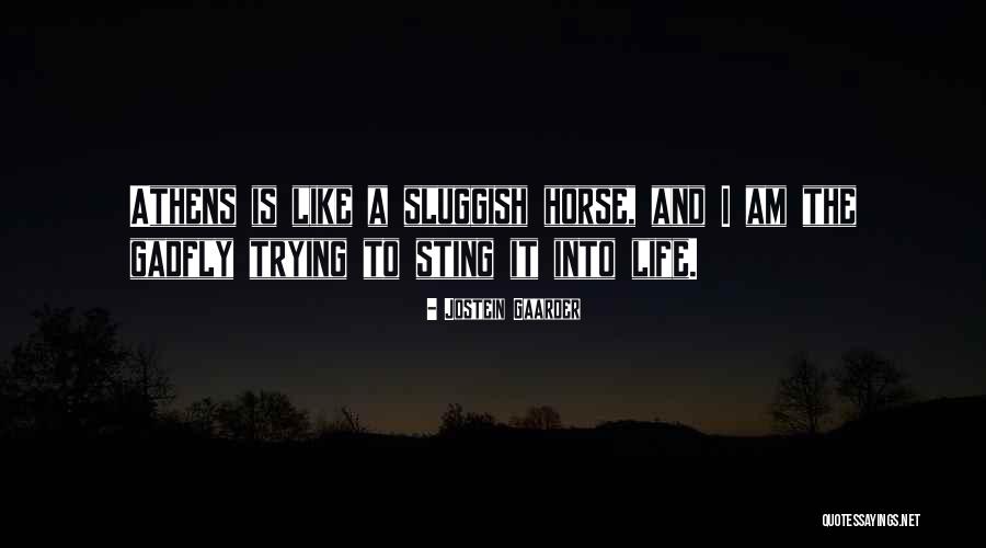 Niinivirta Quotes By Jostein Gaarder Niinivirta Quotes By Jostein Gaarder