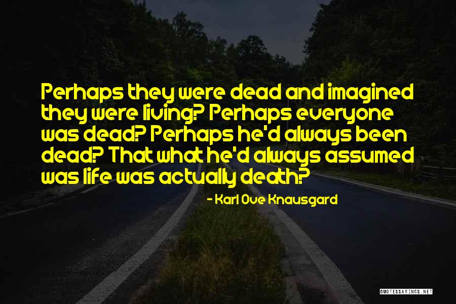 Nijinsky Ballet Quotes By Karl Ove Knausgard Nijinsky Ballet Quotes By Karl Ove Knausgard