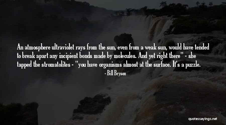 Nijinskys Quotes By Bill Bryson Nijinskys Quotes By Bill Bryson