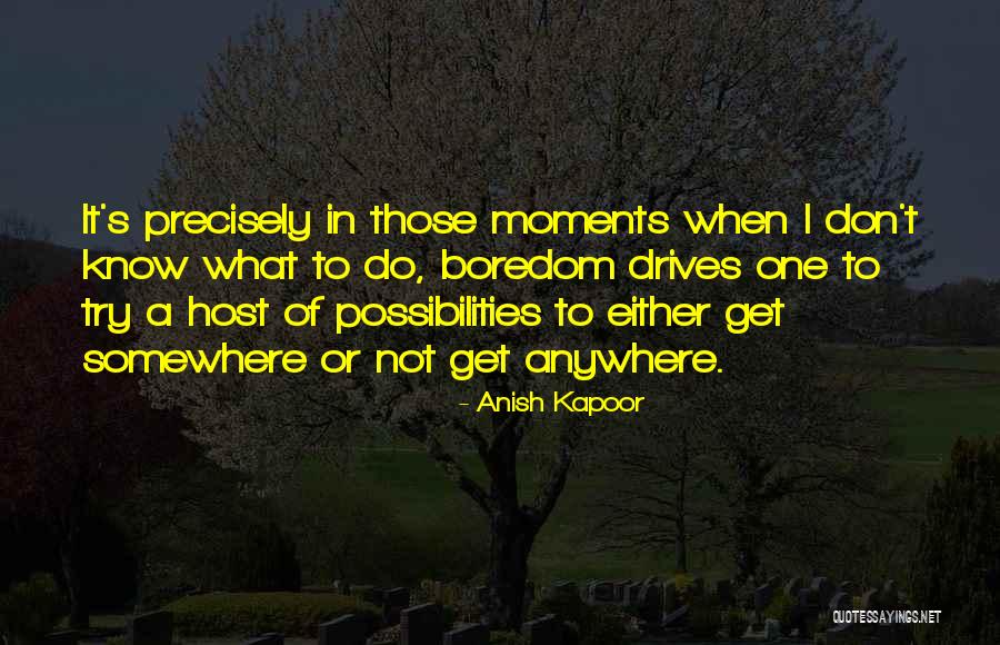 Nijssen Tuin Quotes By Anish Kapoor Nijssen Tuin Quotes By Anish Kapoor
