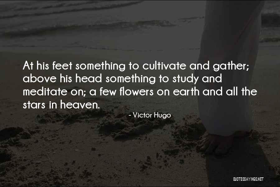 Nikako Nekako Quotes By Victor Hugo