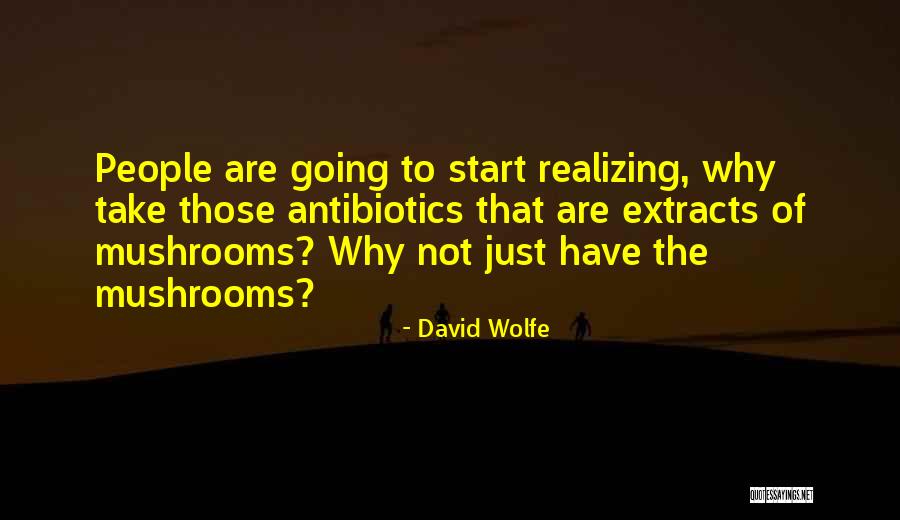 Nikakvih Quotes By David Wolfe Nikakvih Quotes By David Wolfe