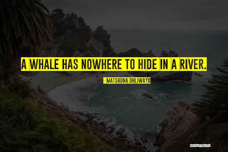 Nikes Famous Quotes By Matshona Dhliwayo Nikes Famous Quotes By Matshona Dhliwayo