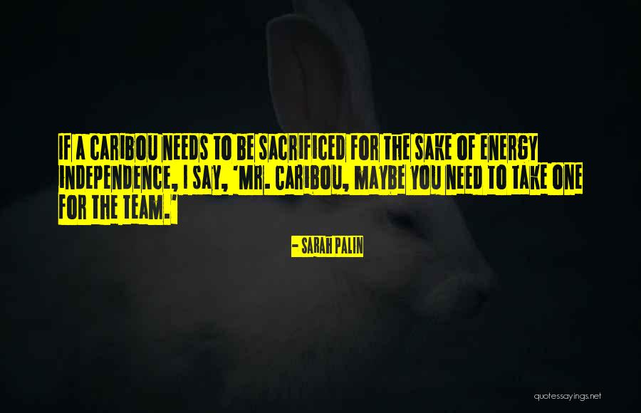 Nikitin Sneg Quotes By Sarah Palin Nikitin Sneg Quotes By Sarah Palin