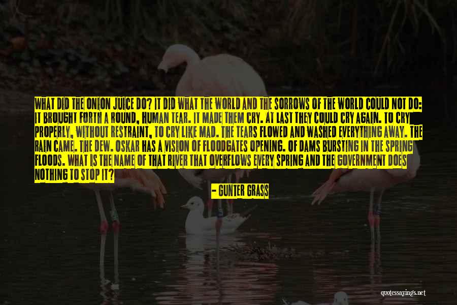 Nikitovic Nemanja Quotes By Gunter Grass Nikitovic Nemanja Quotes By Gunter Grass