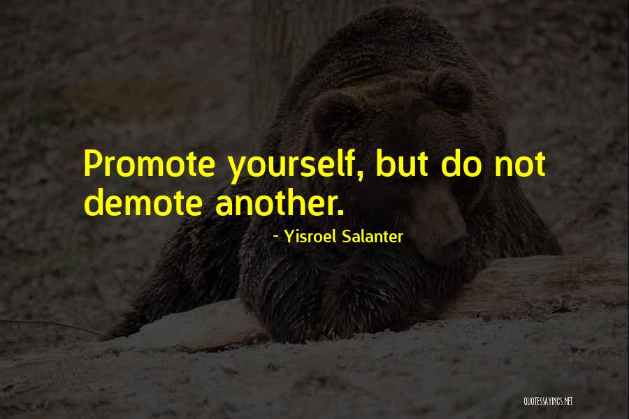 Nikki Heat Quotes By Yisroel Salanter